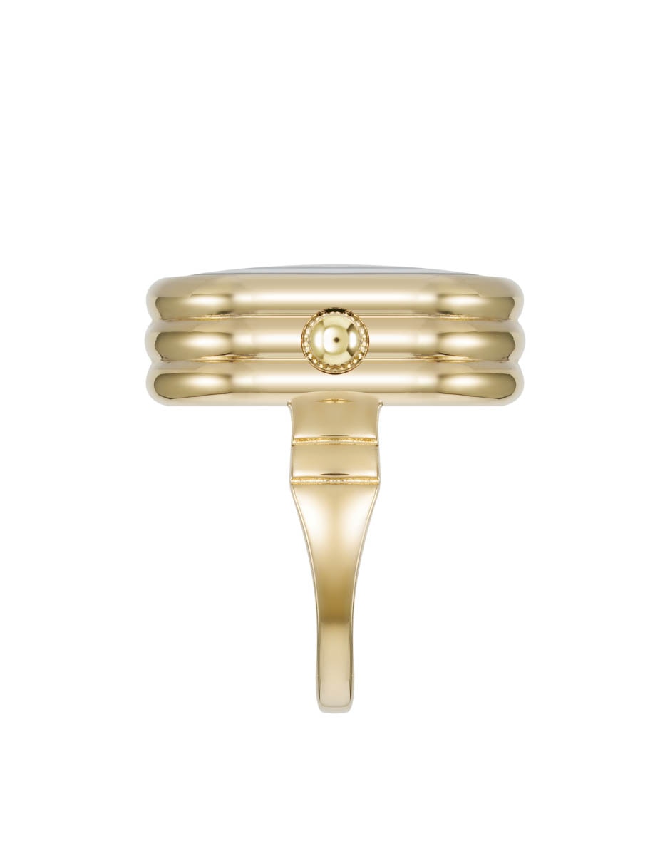 Reloj Gold Collection para mujer AK5126RINGGD 4