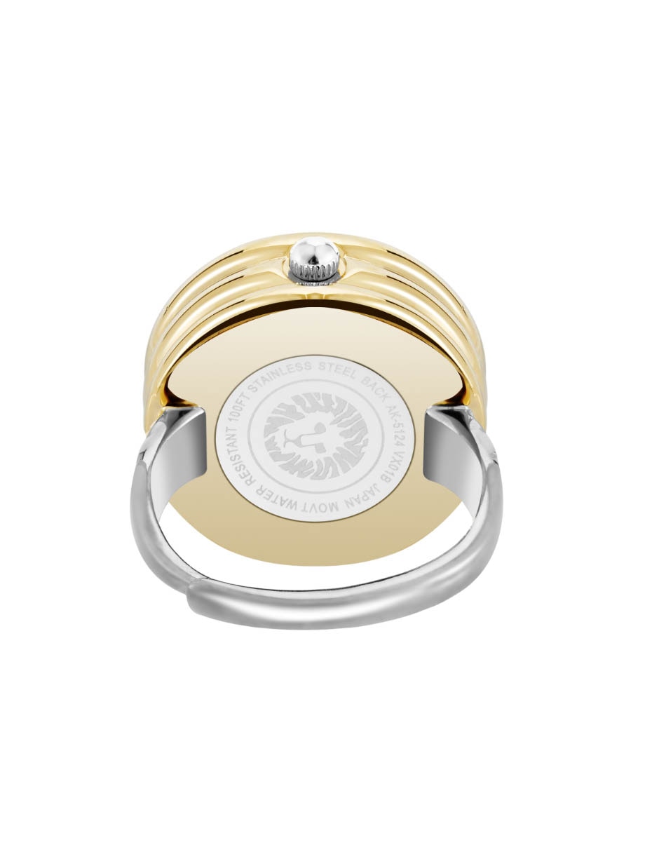 Reloj Two Tone Collection para mujer AK5125RINGTT 2