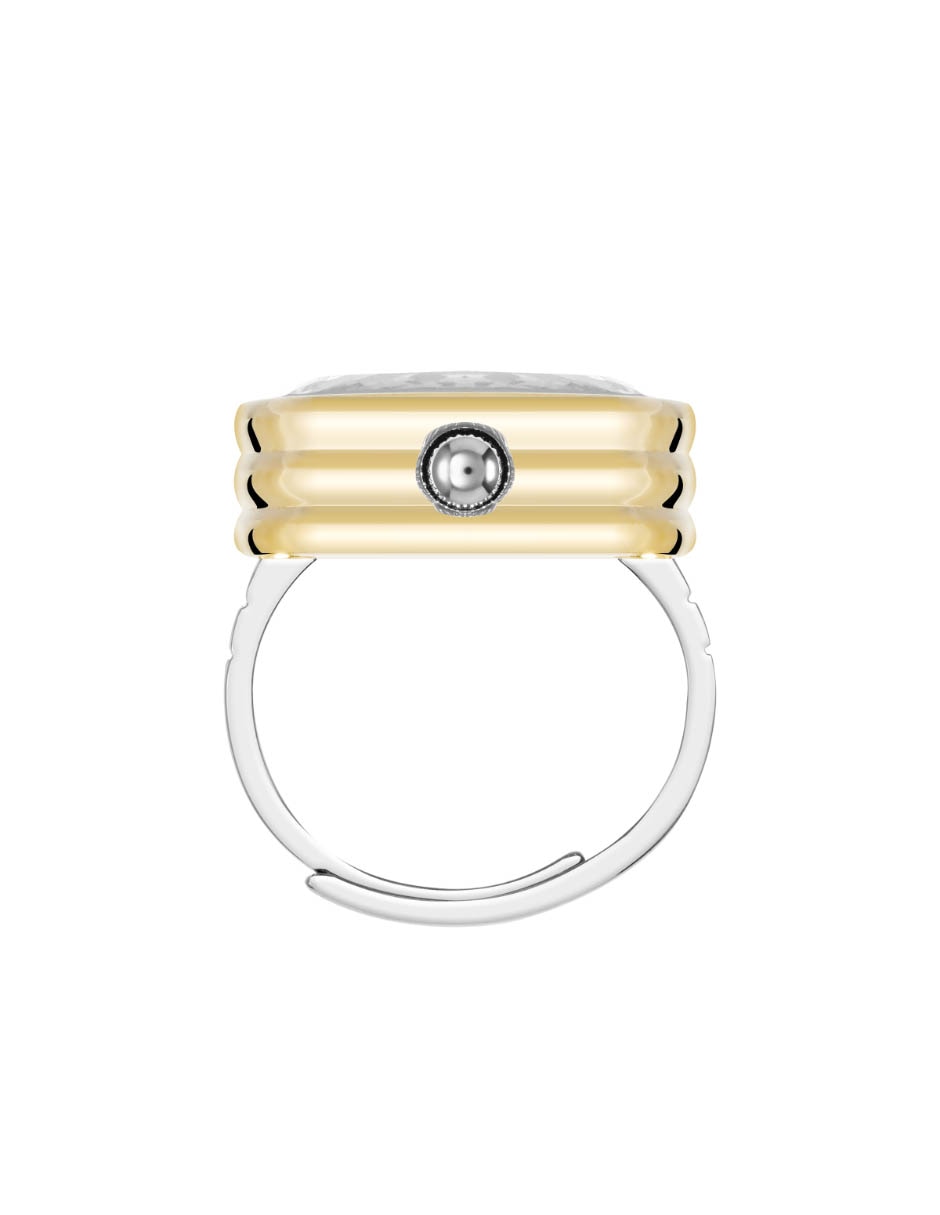 Reloj Two Tone Collection para mujer AK5125RINGTT 4