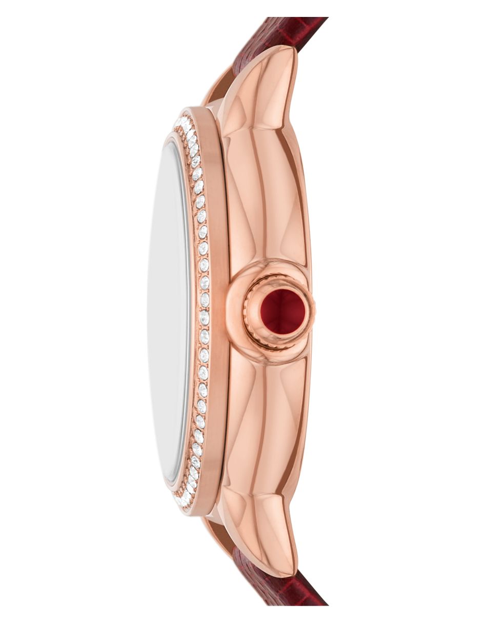 Reloj Dress para mujer AR11646 3