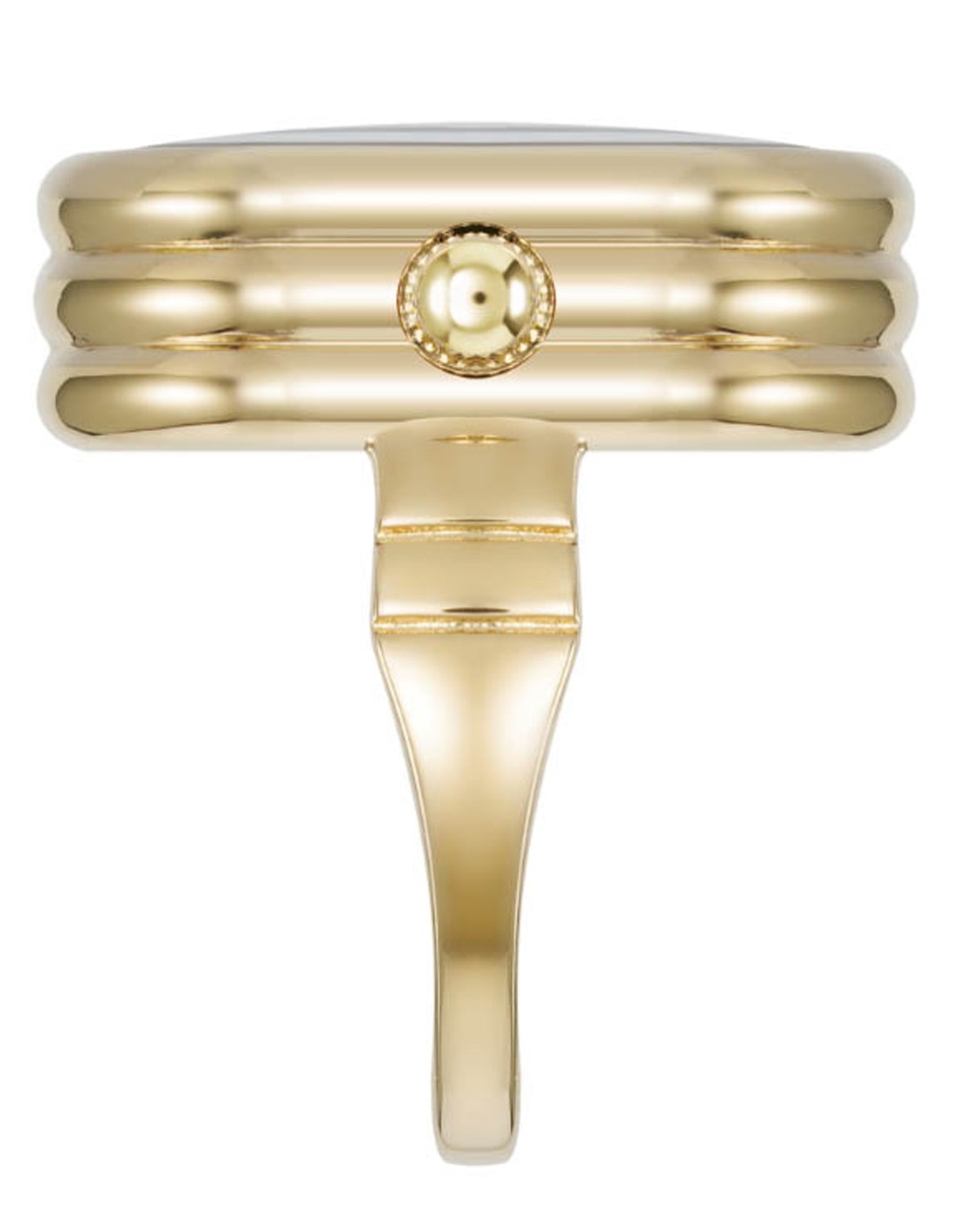 Reloj Gold Collection para mujer AK5126RINGBK 3