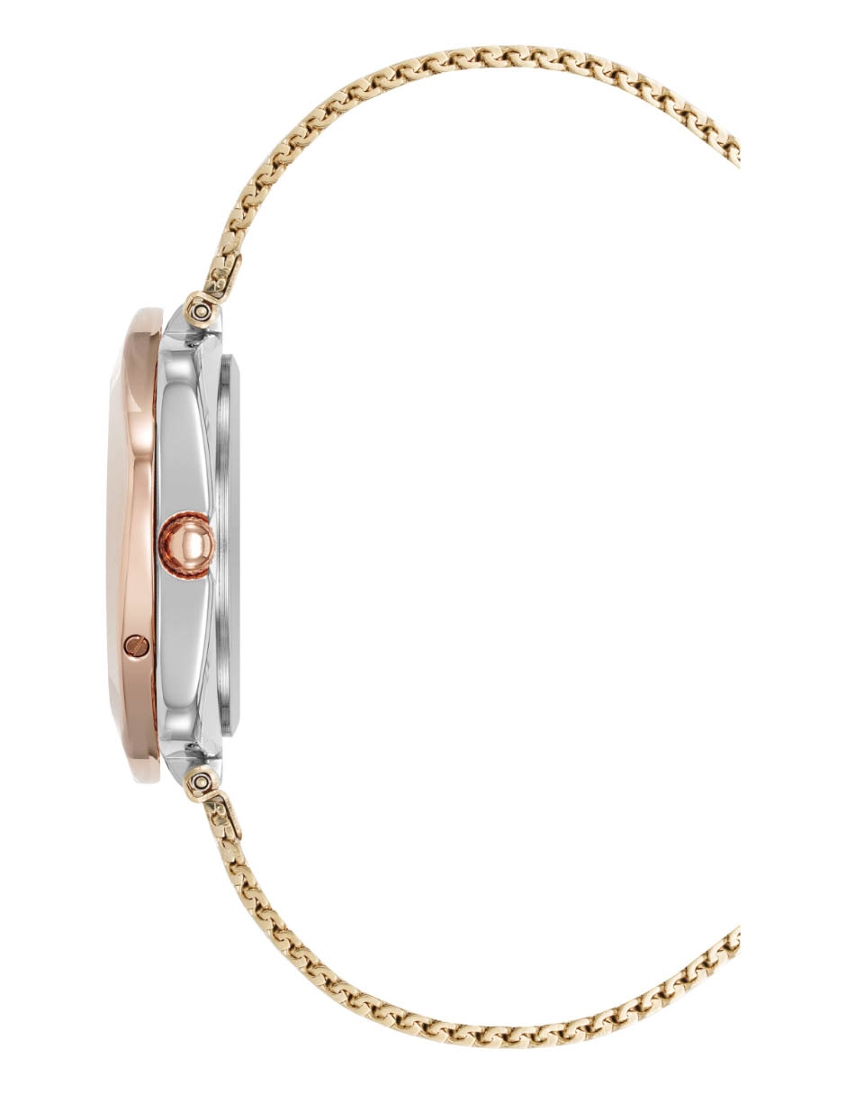 Reloj Gold Collection para mujer AK5163SVTR 3