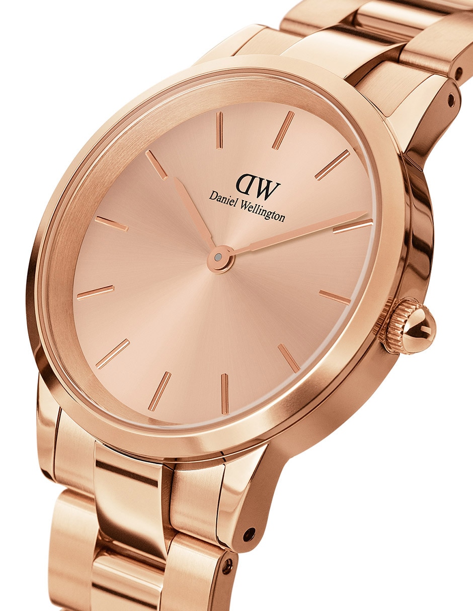 Reloj Iconic Link Unitone para mujer DW00100401 2