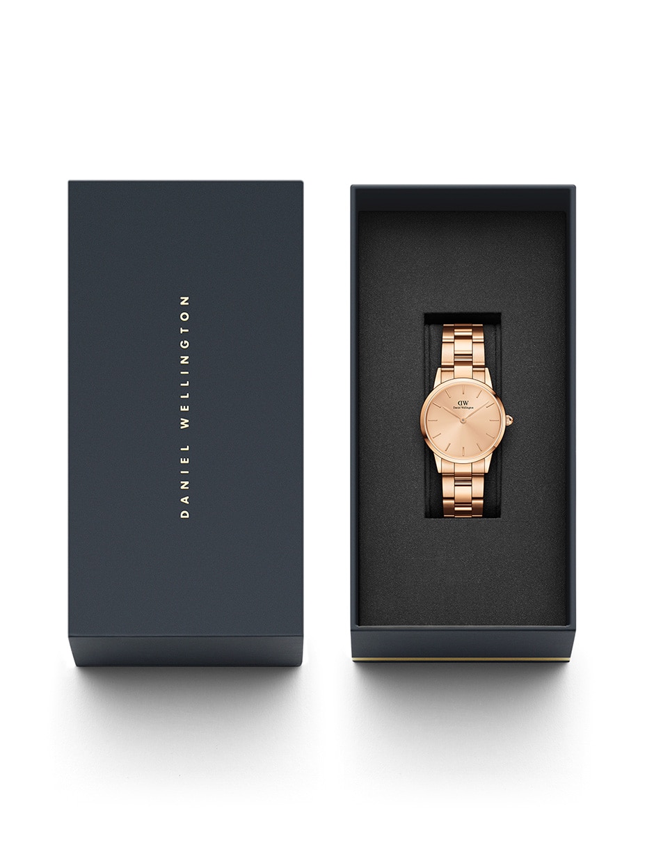 Reloj Iconic Link Unitone para mujer DW00100401 5