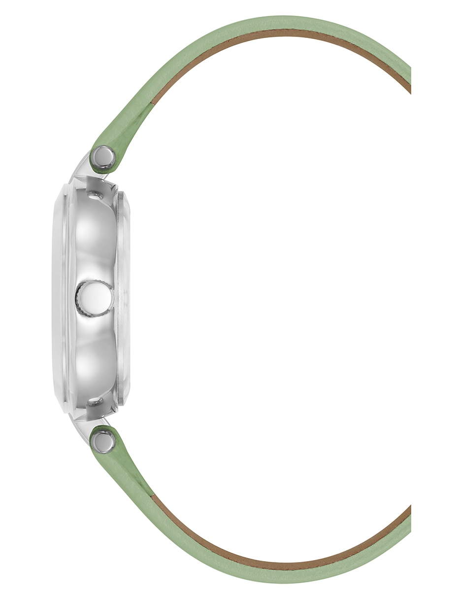 Reloj Color Collection para mujer AK5151SVGN 2