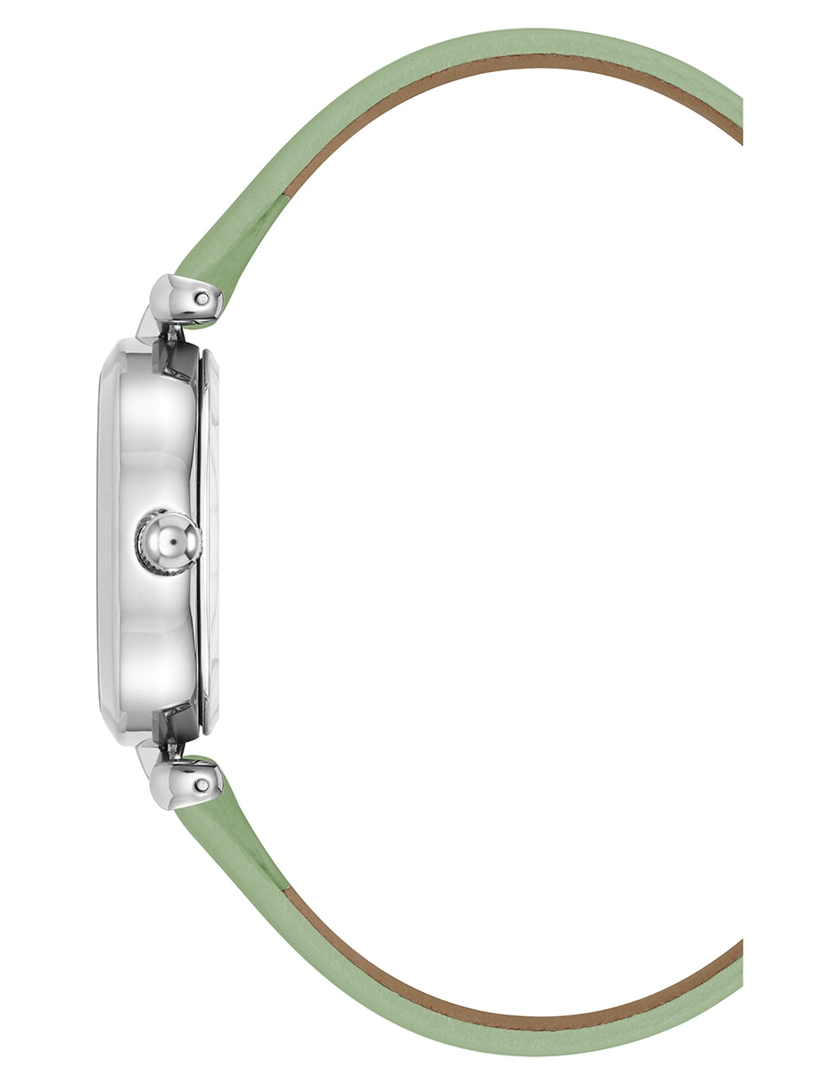 Reloj Color Collection para mujer AK5155SVGN 3