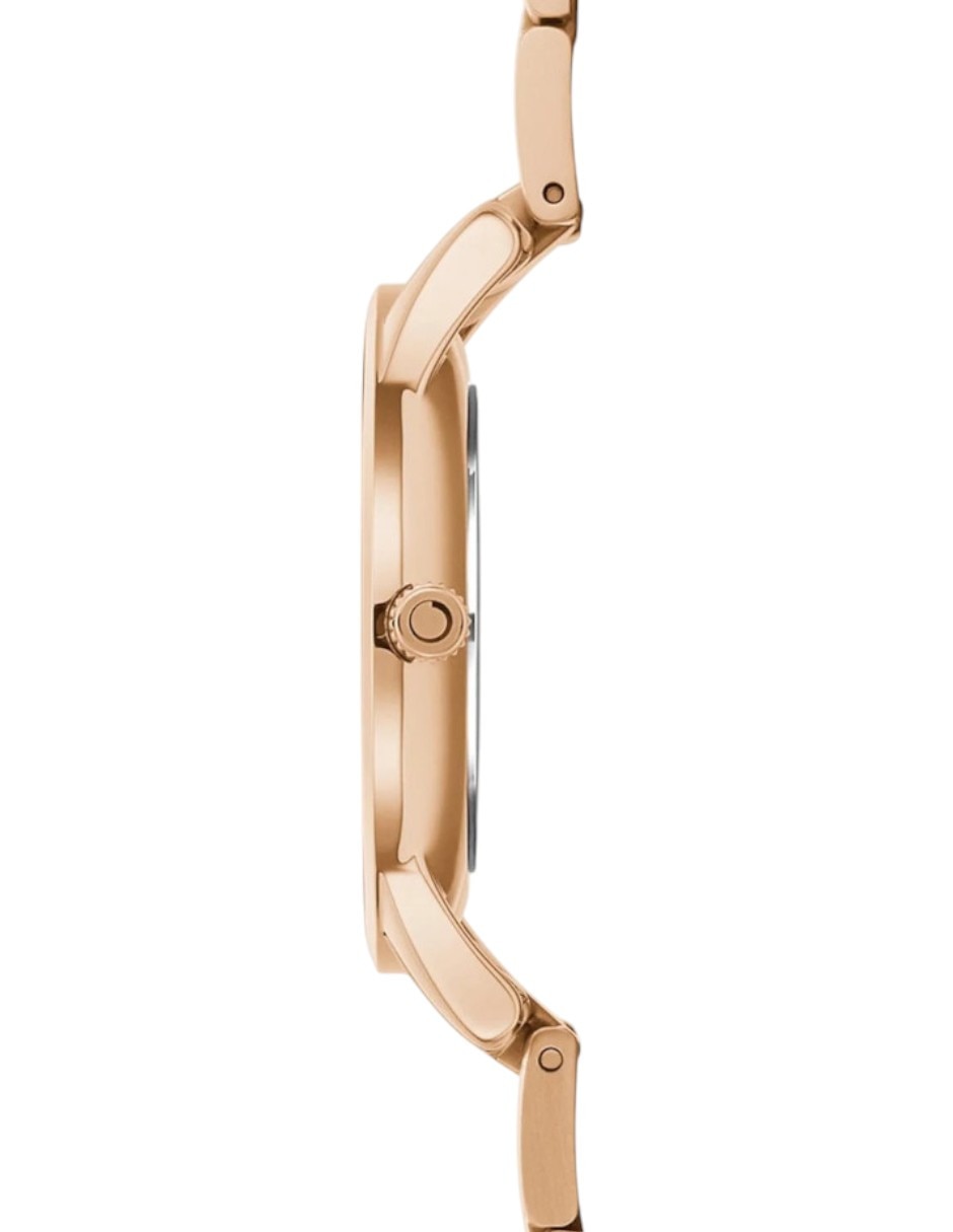 Reloj Lyng Lille Lapis para mujer V247LXVLSV 2