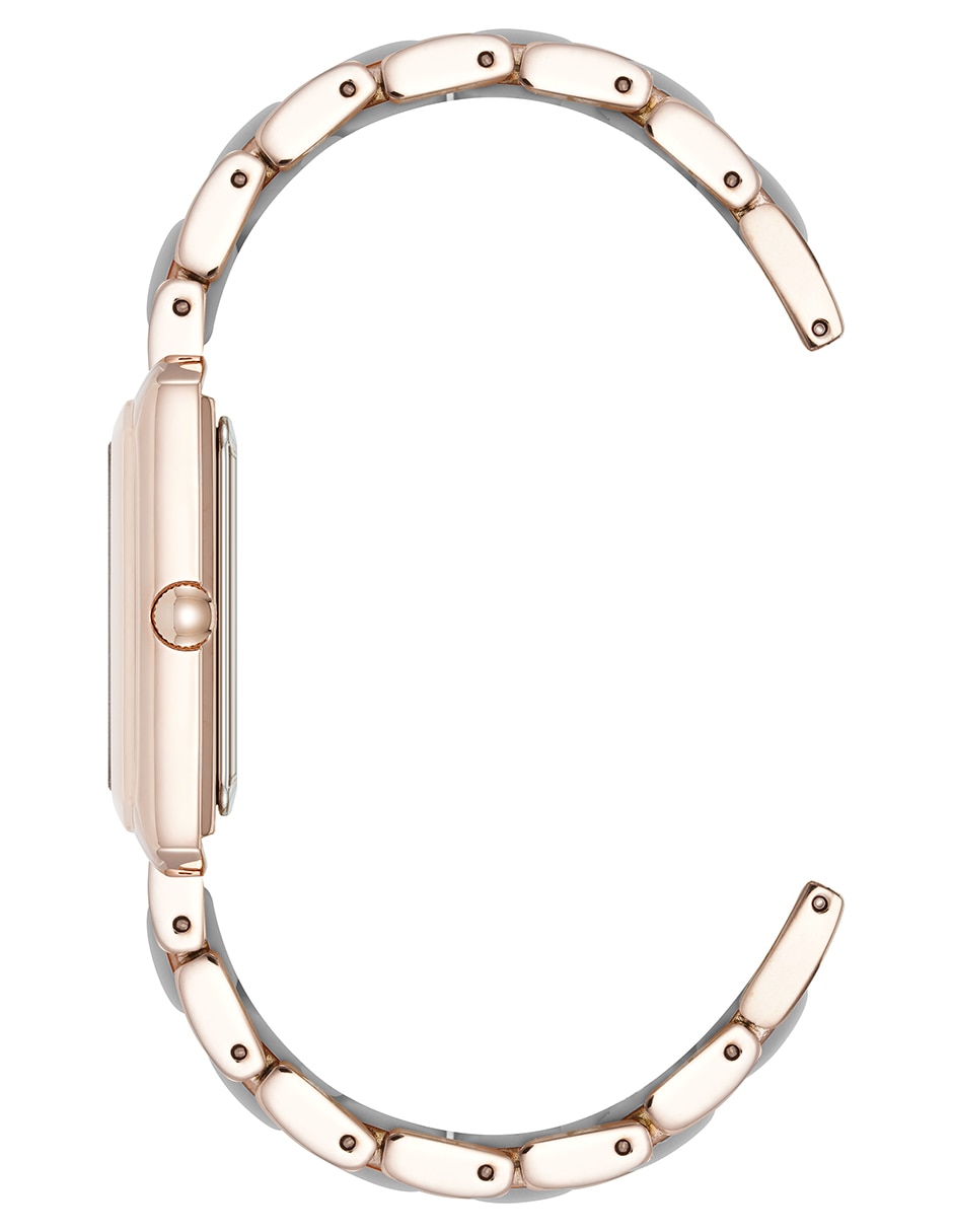 Reloj Color Collection para mujer AK5278RGGY 3