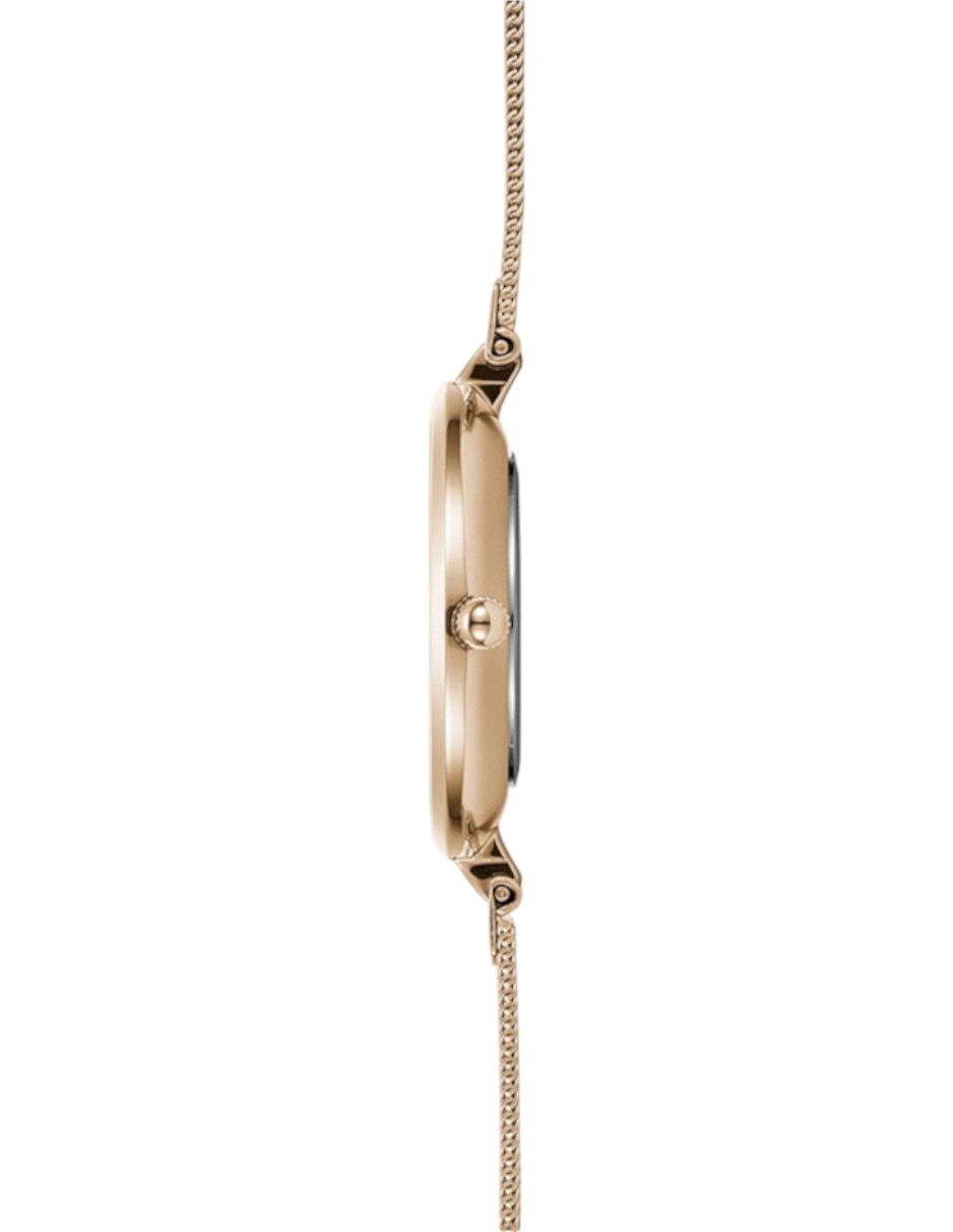 Reloj Diamant Peony para mujer V256LXVPMV 2