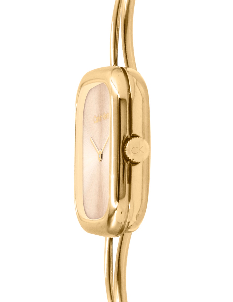 Reloj Ck Adore para mujer 25100132 3