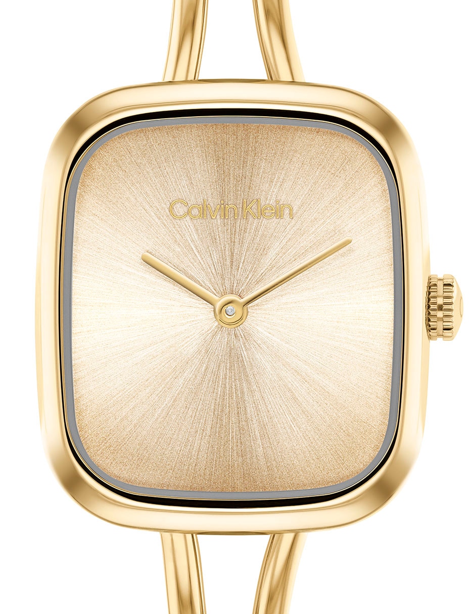 Reloj Ck Adore para mujer 25100132 5