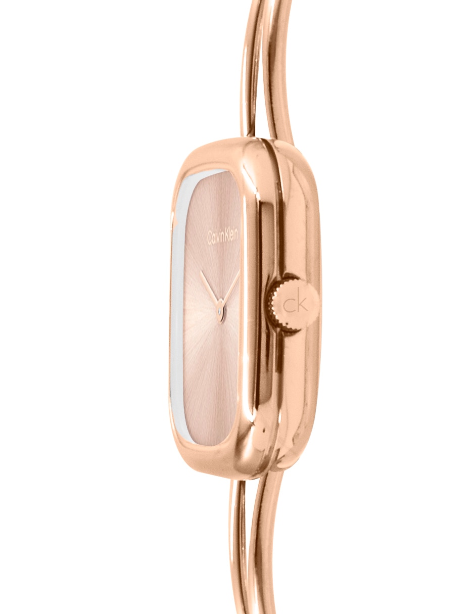 Reloj Ck Adore para mujer 25100133 3
