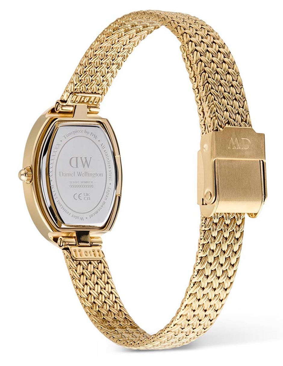 Reloj Juliette para mujer DW00100882 2
