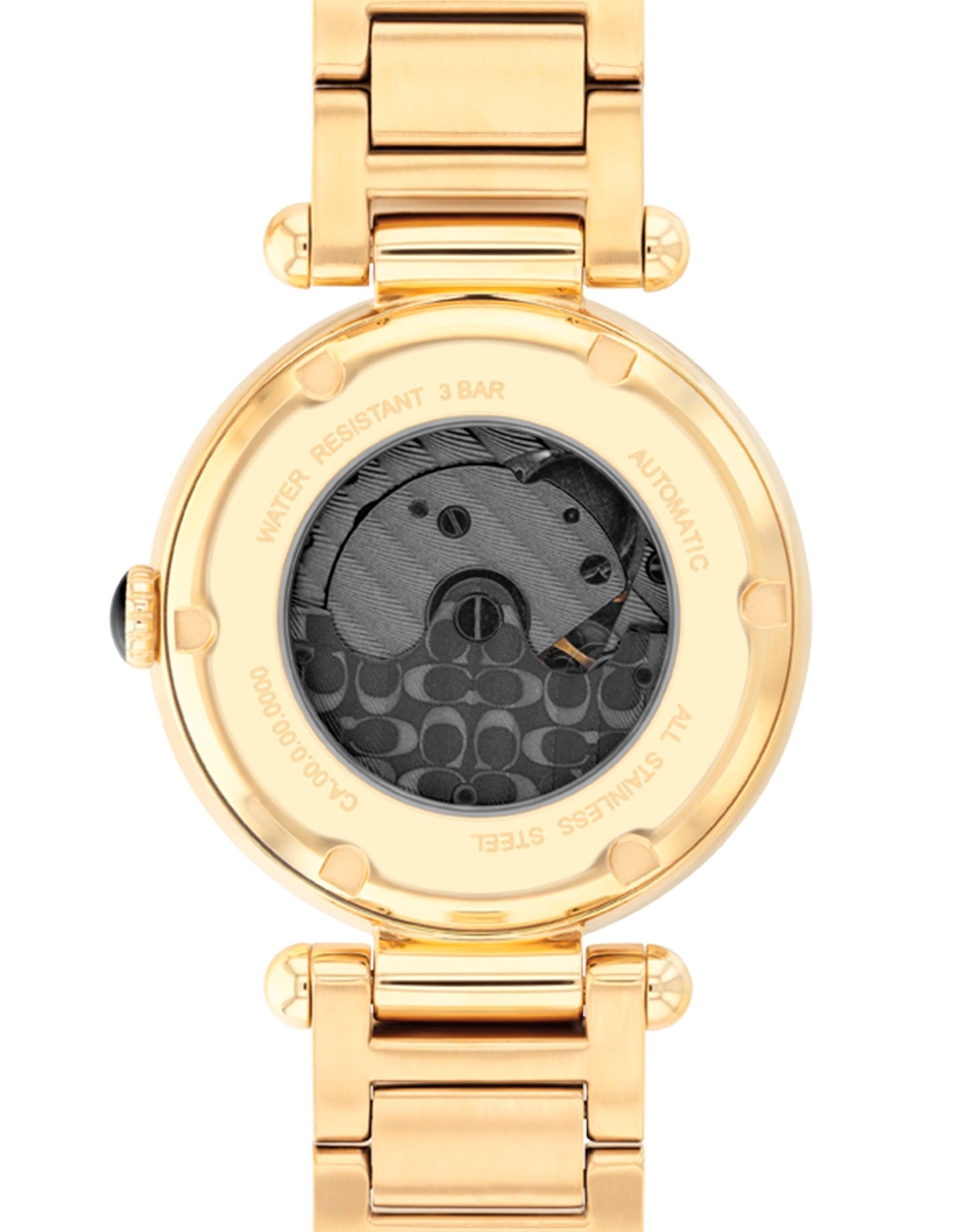 Reloj Cary para mujer 14504579 4