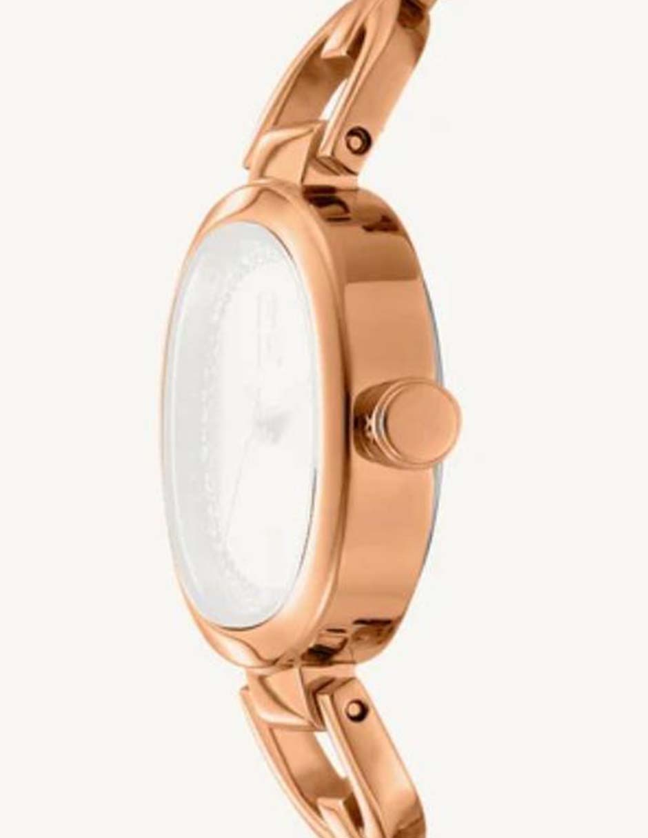 Reloj Everyday para mujer DK1L139M0045 3