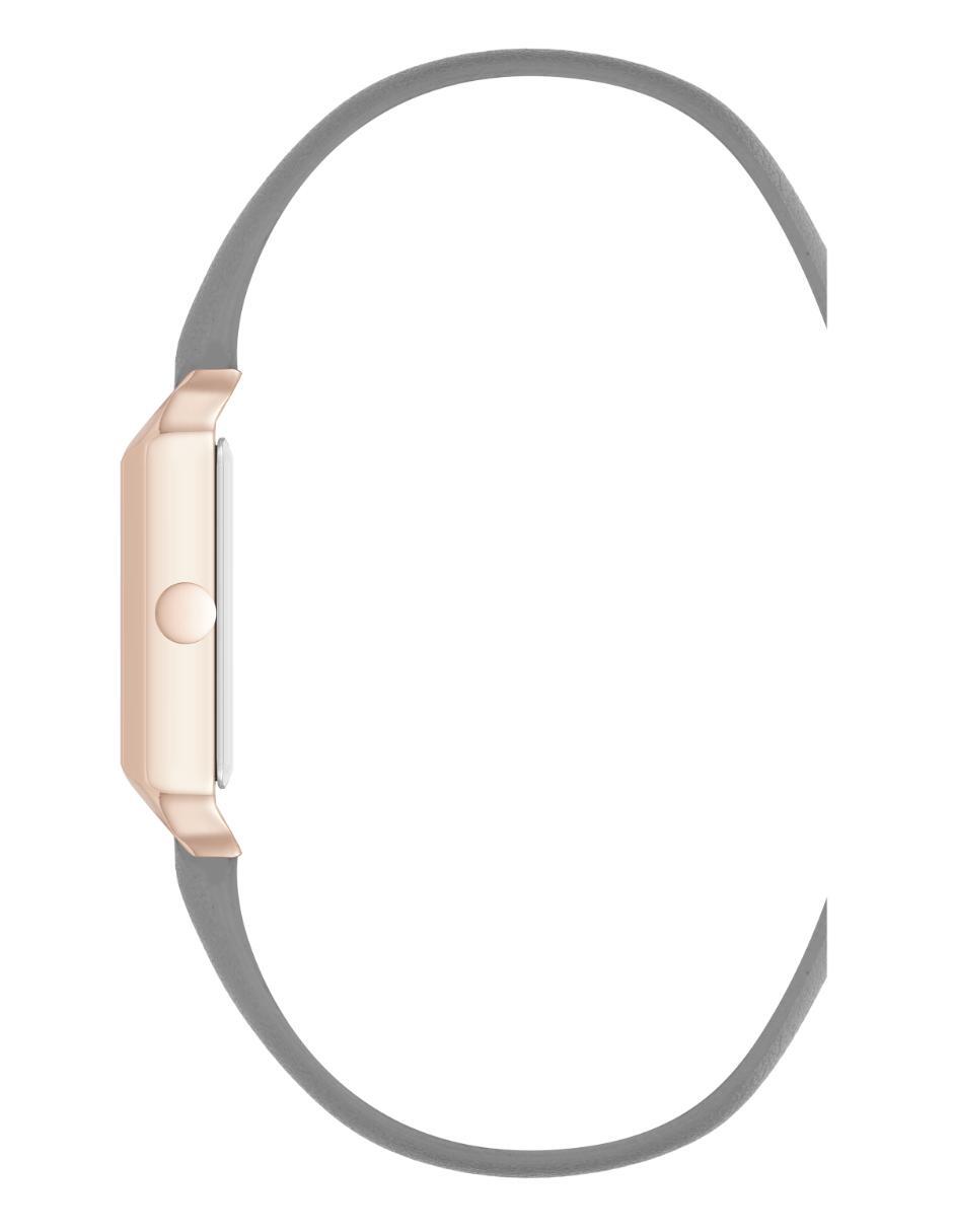 Reloj Color Collection para mujer Nw3248Gyrg 2