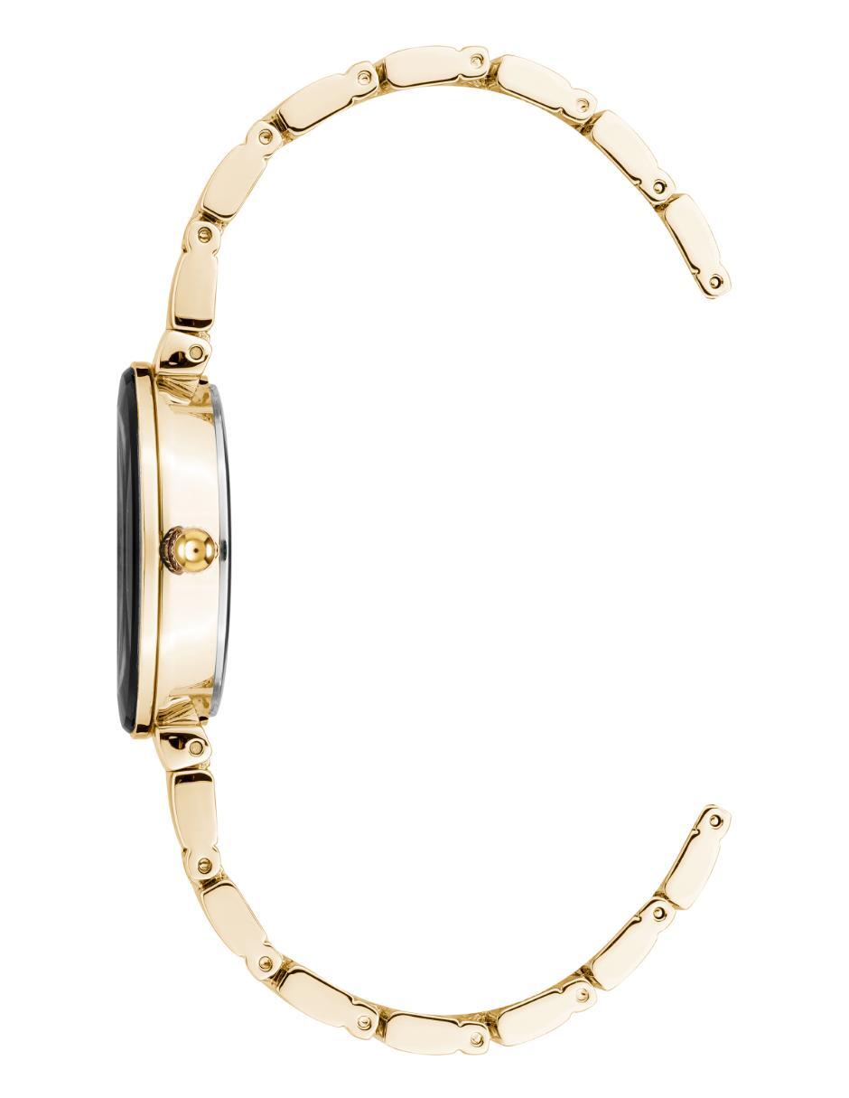 Reloj Gold Collection para mujer Ak2434Gbbk 2