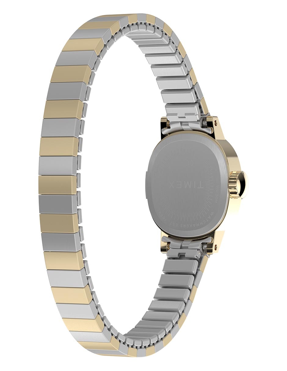 Reloj Cavatina Main Line para mujer Tw2y66900vt 5